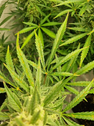 Growreport Bild 13