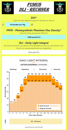 Growreport Bild 52
