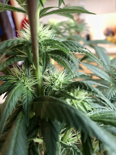 Growreport Bild 10