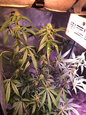 Growreport Bild 14