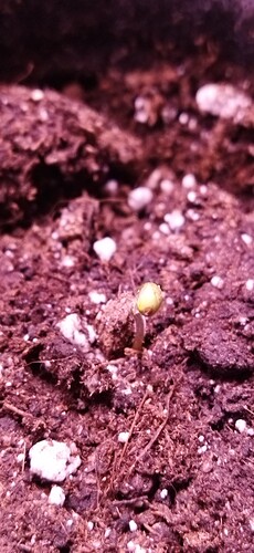 Growreport Bild 90