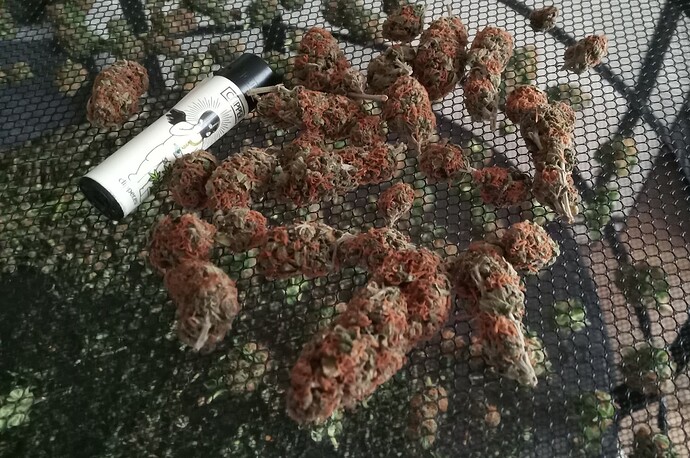 Growreport Bild 46