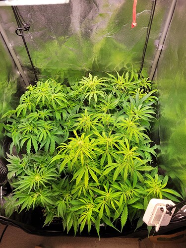 Growreport Bild 5