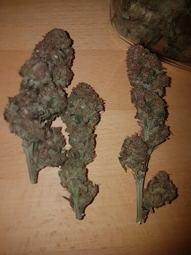 Growreport Bild 2