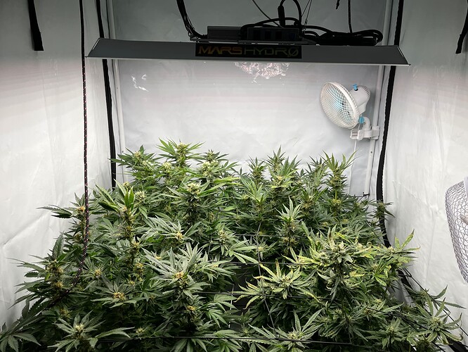 Growreport Bild 6