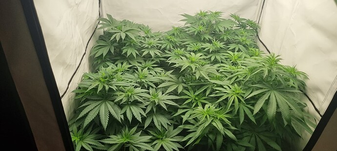 Growreport Bild 8