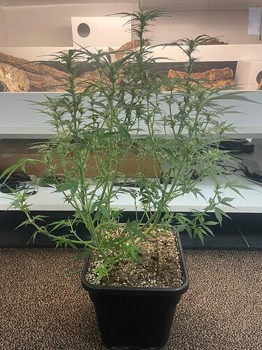 Growreport Bild 11
