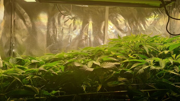 Growreport Bild 9