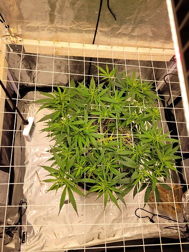 Growreport Bild 10