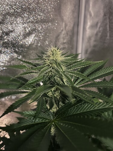 Growreport Bild 10