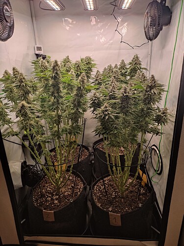Growreport Bild 6