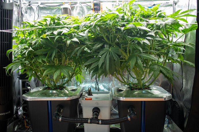 Growreport Bild 11