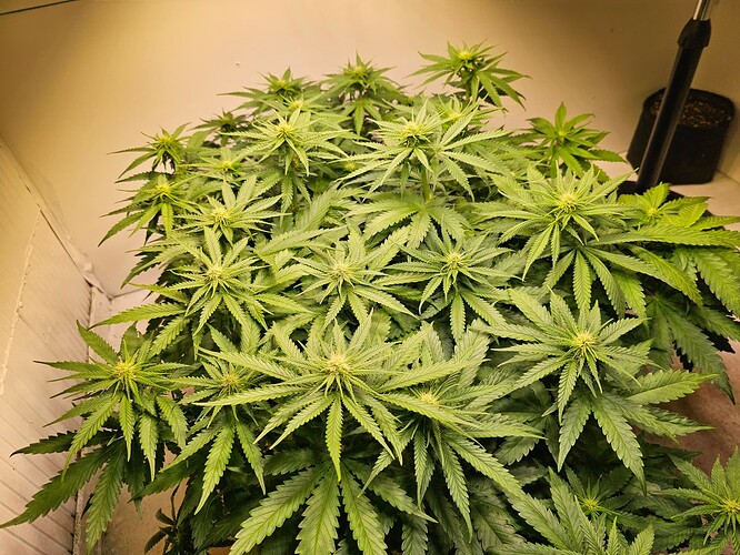 Growreport Bild 2