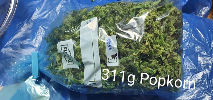 Growreport Bild 39