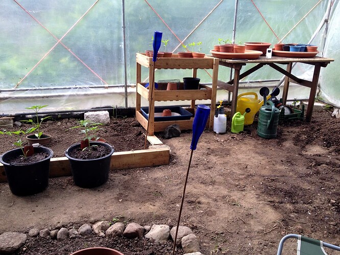 Growreport Bild 7