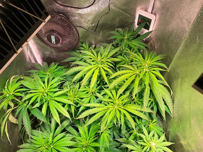 Growreport Bild 10