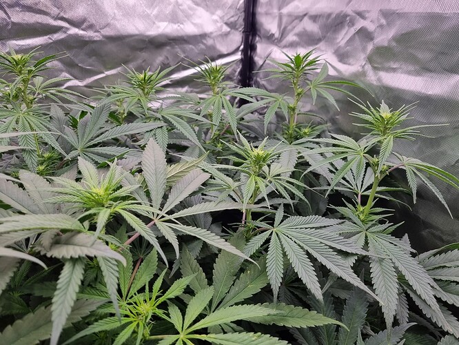 Growreport Bild 2