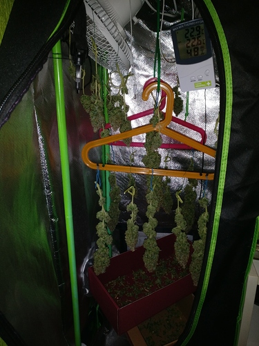 Growreport Bild 7
