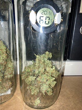 Growreport Bild 7