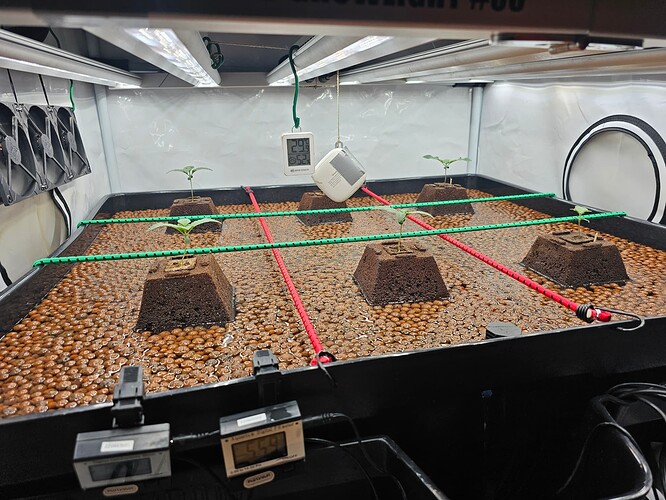Growreport Bild 15