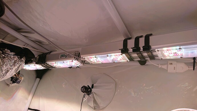 Growreport Bild 11