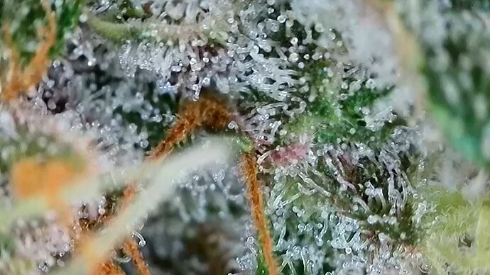 Growreport Bild 12