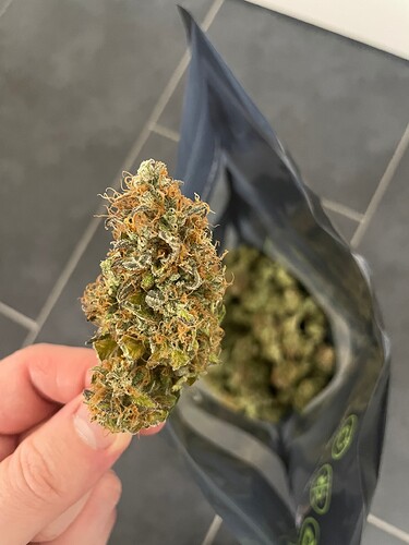 Growreport Bild 7