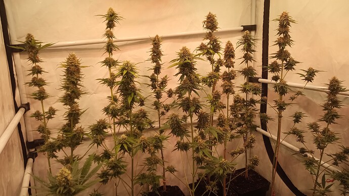Growreport Bild 10