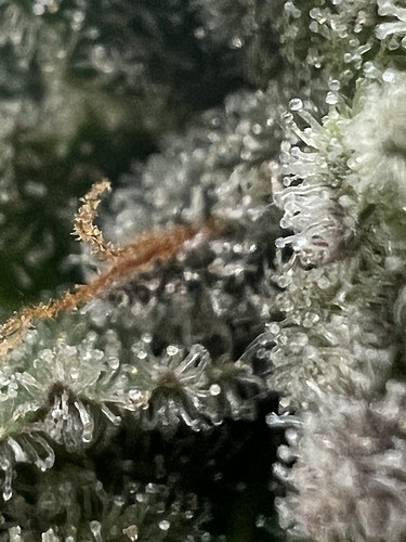 Growreport Bild 17