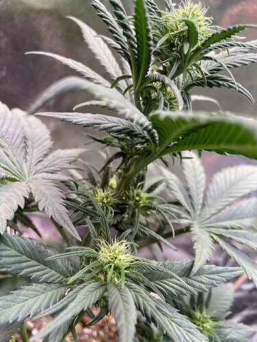 Growreport Bild 8