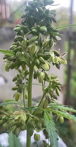 Growreport Bild 4