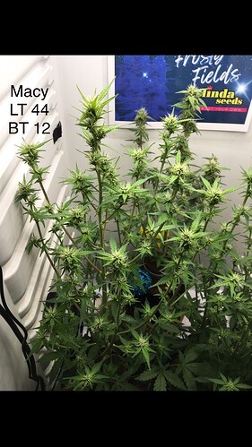 Growreport Bild 19