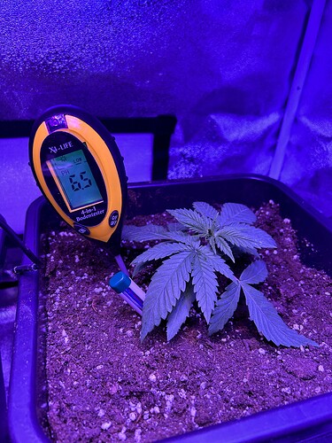 Growreport Bild 4
