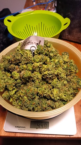 Growreport Bild 8
