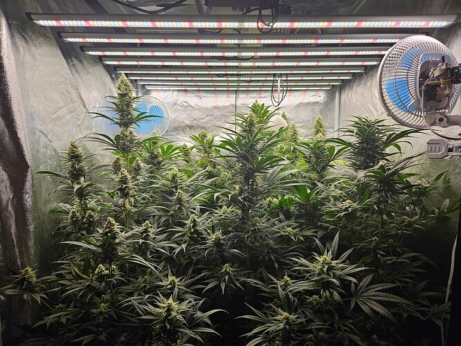 Growreport Bild 26