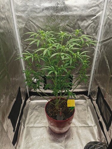 Growreport Bild 4