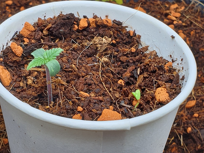 Growreport Bild 10