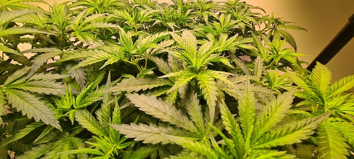 Growreport Bild 15