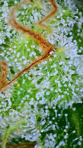 2022_06_20_18_15_34_526 - Copy