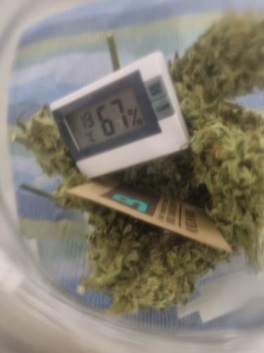 Growreport Bild 7