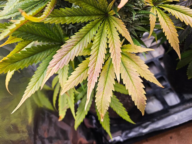 Growreport Bild 17