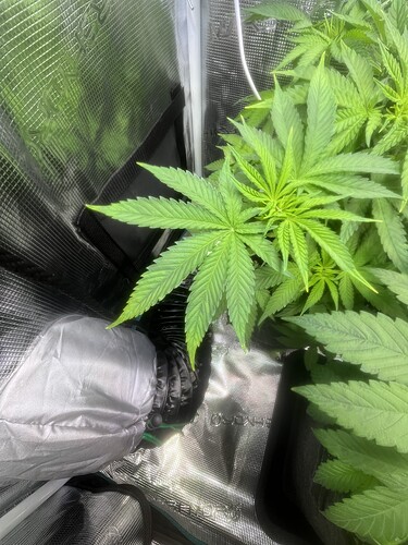 Growreport Bild 16