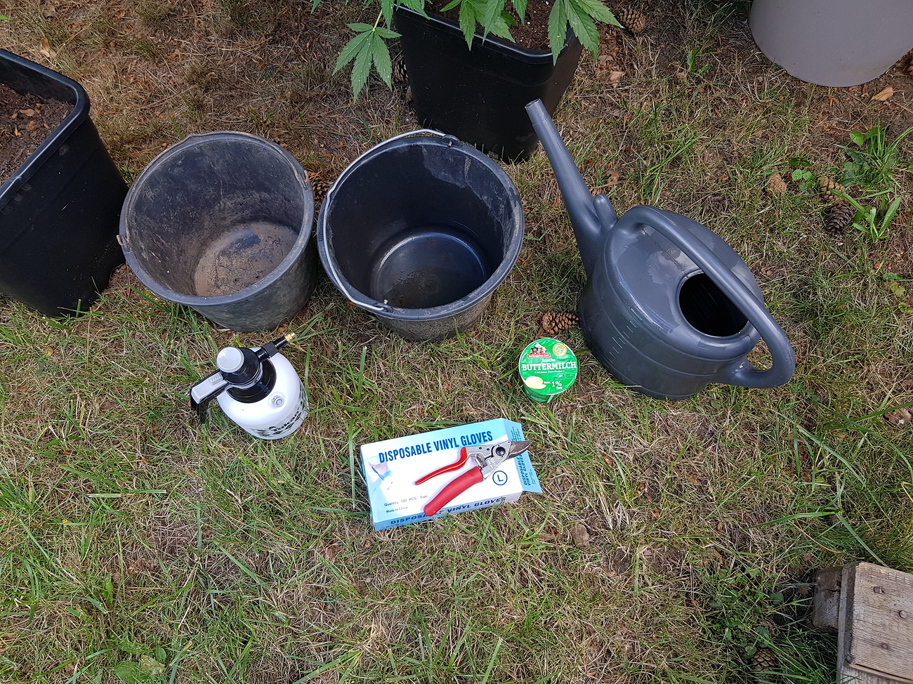 2020: Outdoor Töpfe im Garten - Erster Versuch ever⁸ - Outdoor - Forum