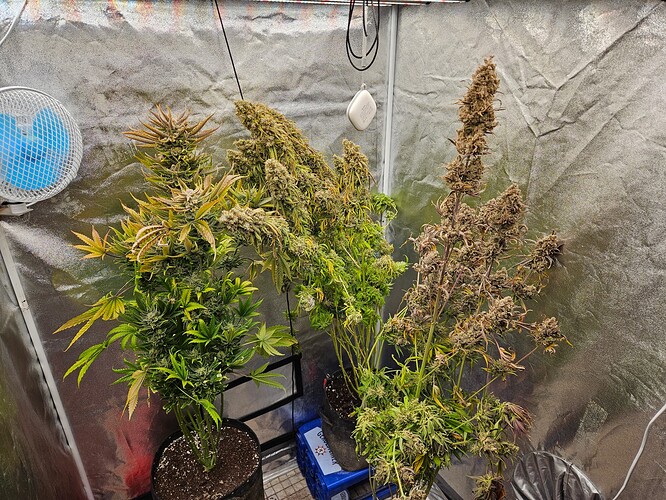 Growreport Bild 8