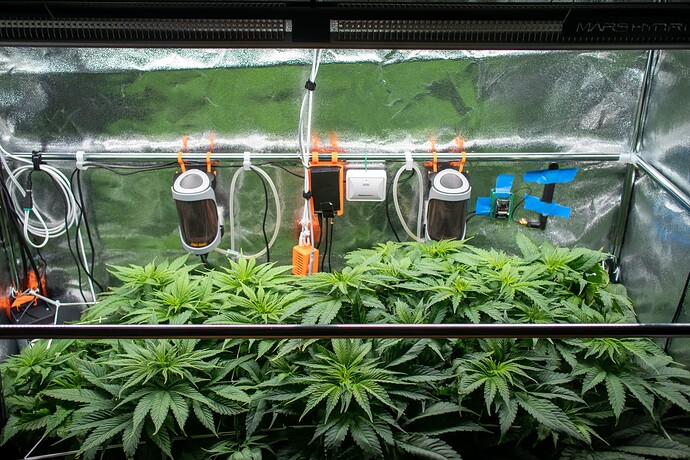 Growreport Bild 12