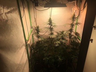Growreport Bild 11