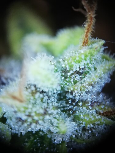 GG#1_240112-5