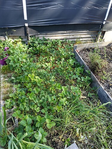 IMG_20230601_094913455_HDR1