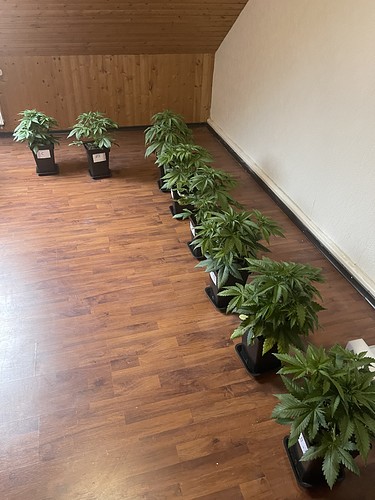 Growreport Bild 15
