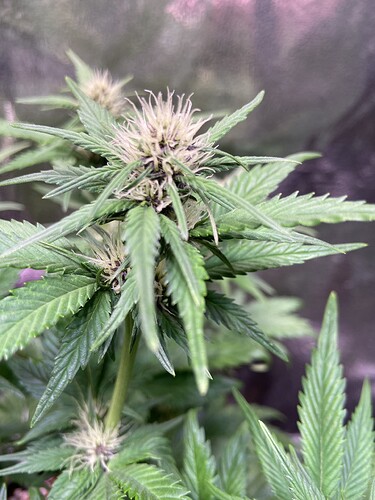 Growreport Bild 10